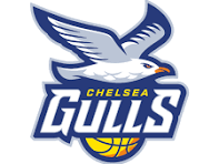 Chelsea Gulls Logo
